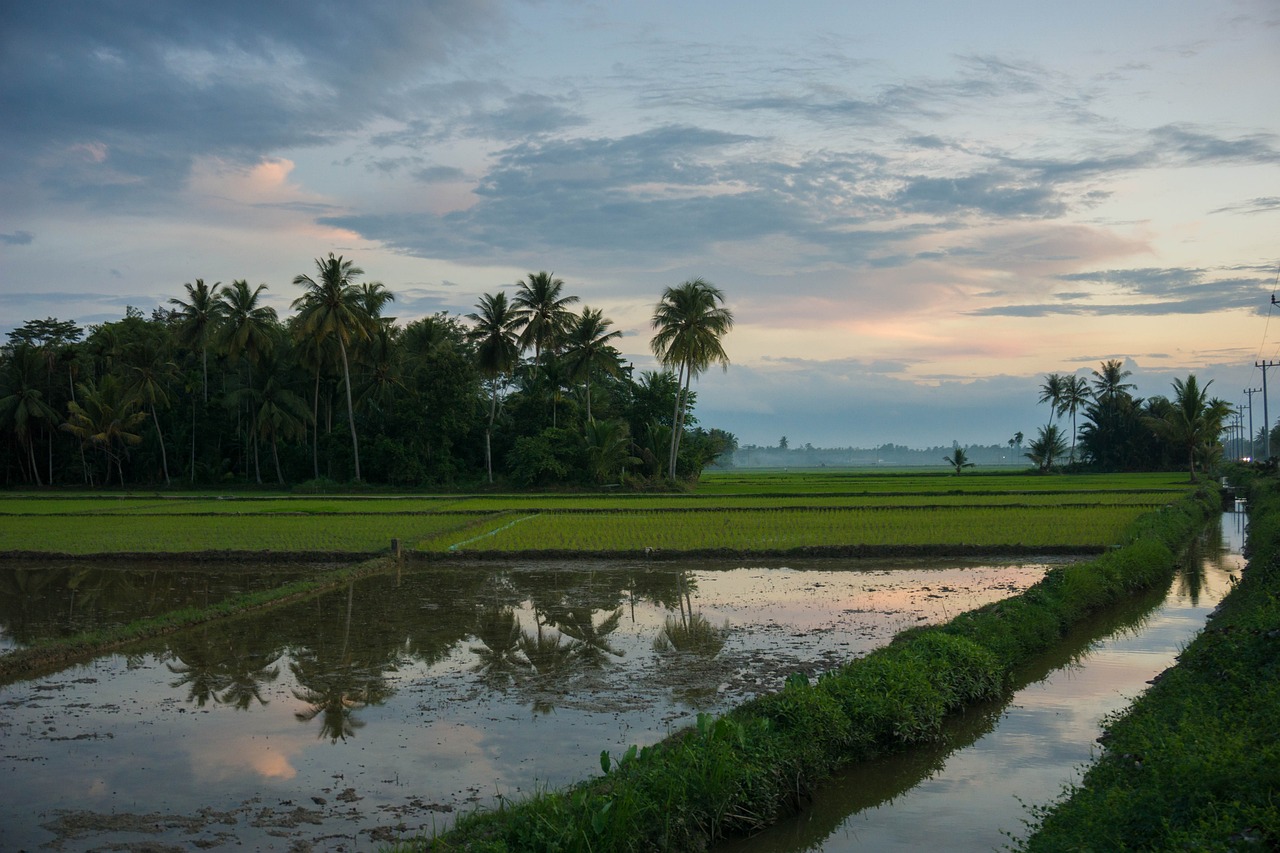 5-Day Adventure in Banda Aceh and Sabang